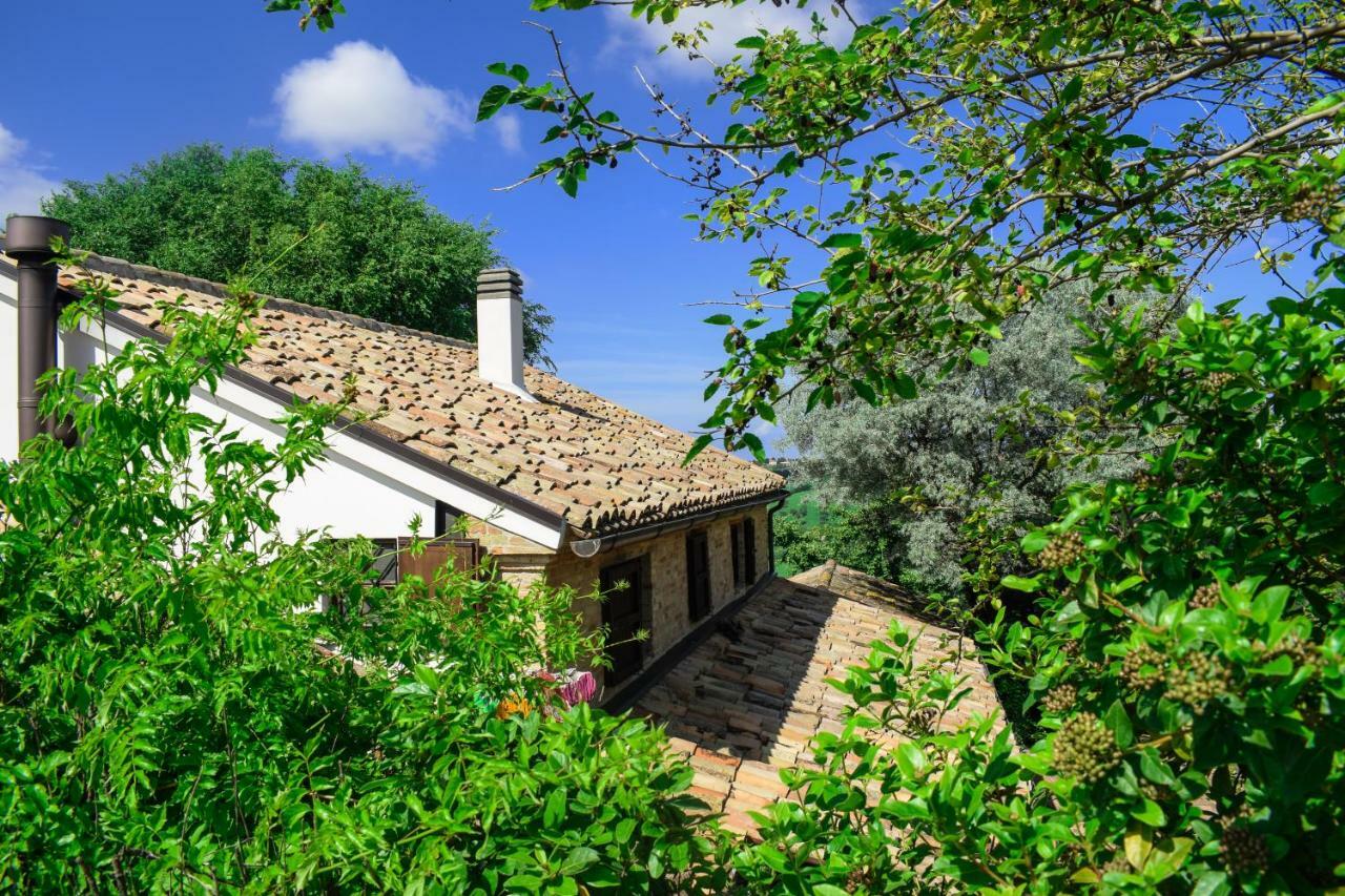 Barbagianni Senigallia Exterior photo